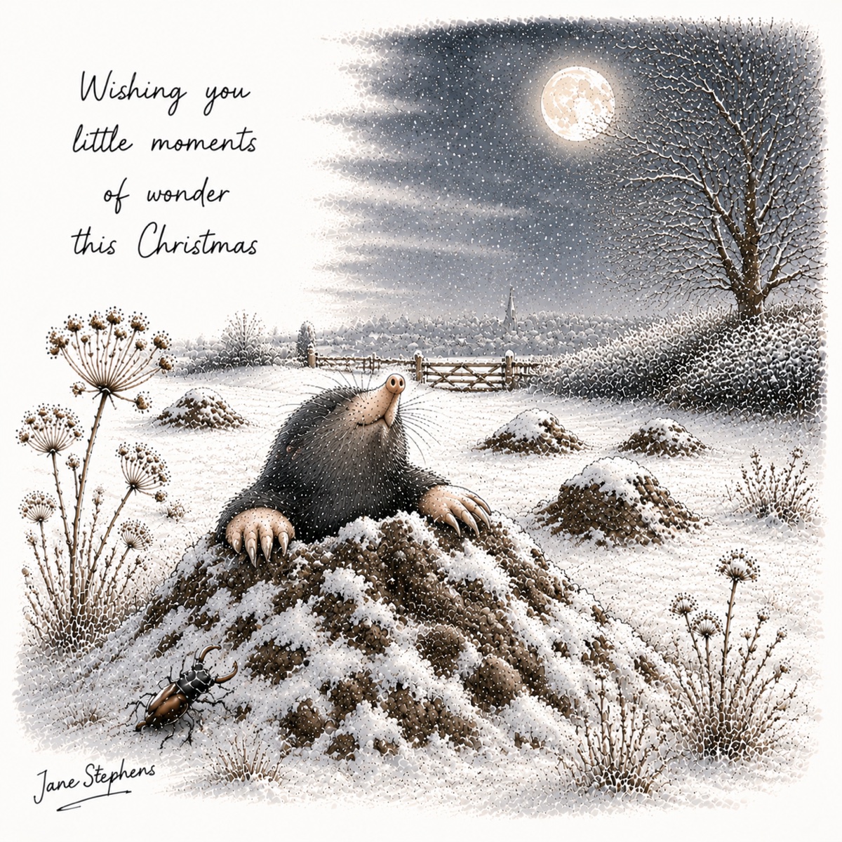 Mole beneath a winter moon