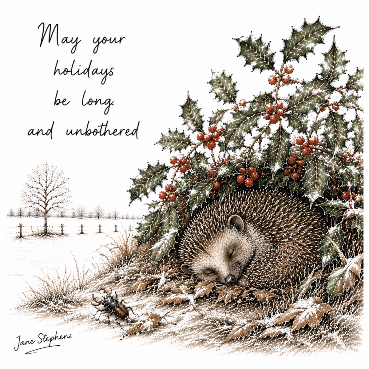 Jane Stephens Christmas card illustration of a hedgehog under holly